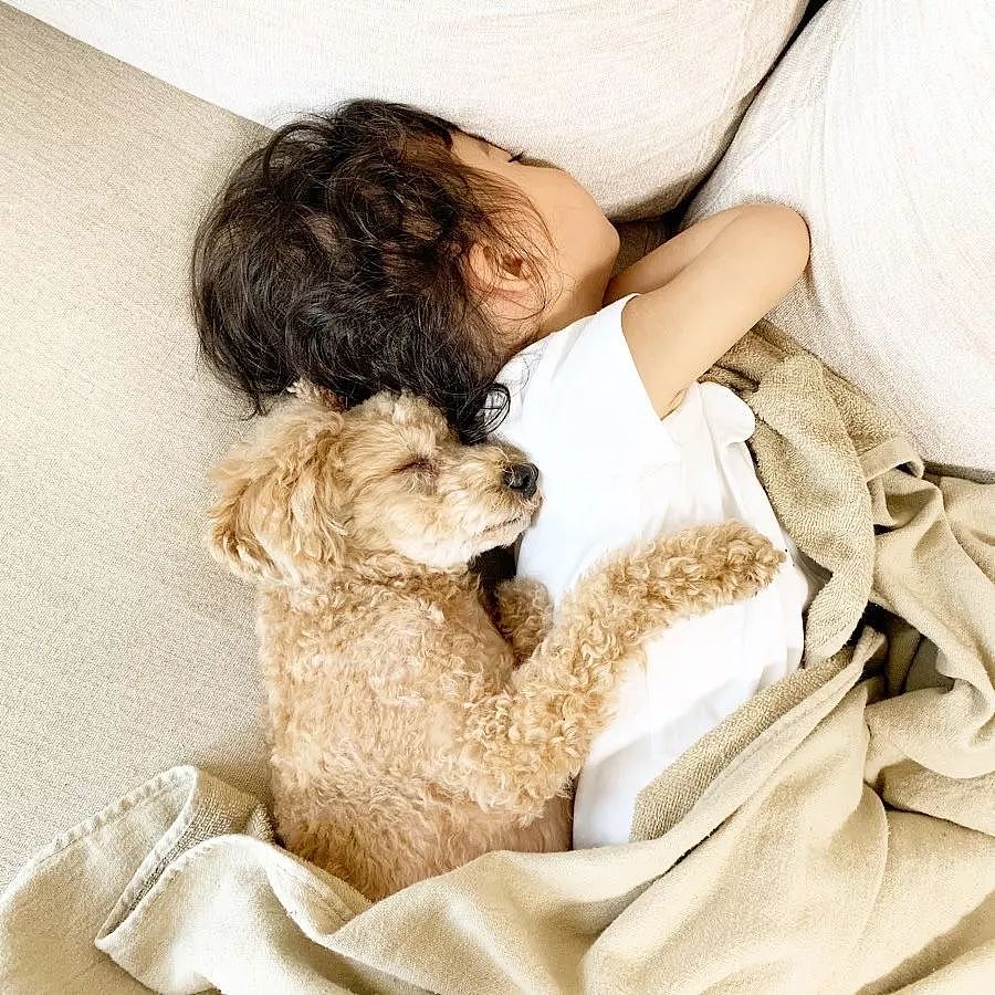 日本妈妈每天给狗狗和孩子拍照，这画风…也太可爱了吧！ - 12