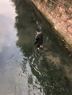 暖心！怀孕狗妈妈被困河中，小哥跳入冰冷河水中救助！ - 5
