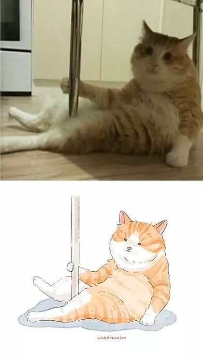 这位画师把网上的沙雕猫猫图，画成了插画，这画风也太可爱了！ - 2