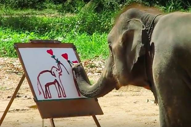 泰国全网禁播！大象旅游业背后的真相…… - 7