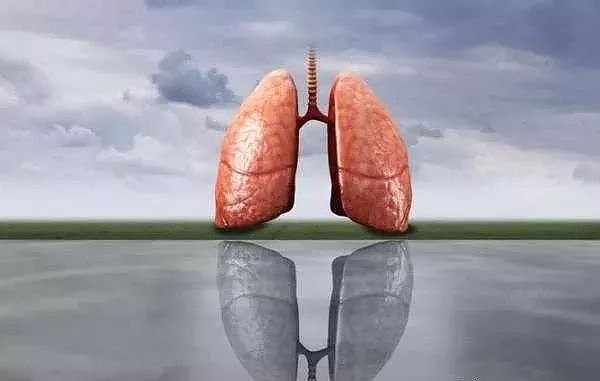 肺不好，多吃二白，远离二气，做好三件事，帮你养好肺！ - 1