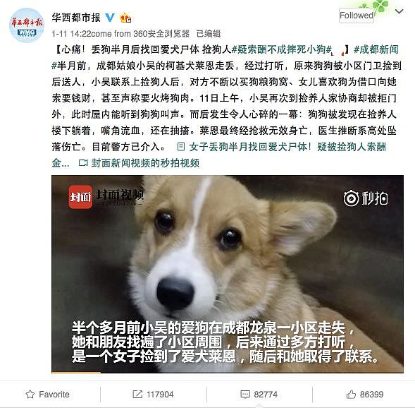 一条狗的死亡，引发了中国2.6亿网友的愤慨，17万人的指责。摔死柯基的时候，何女士也摔死了人性。而澳大利亚竟也发生了相似的事.. - 30
