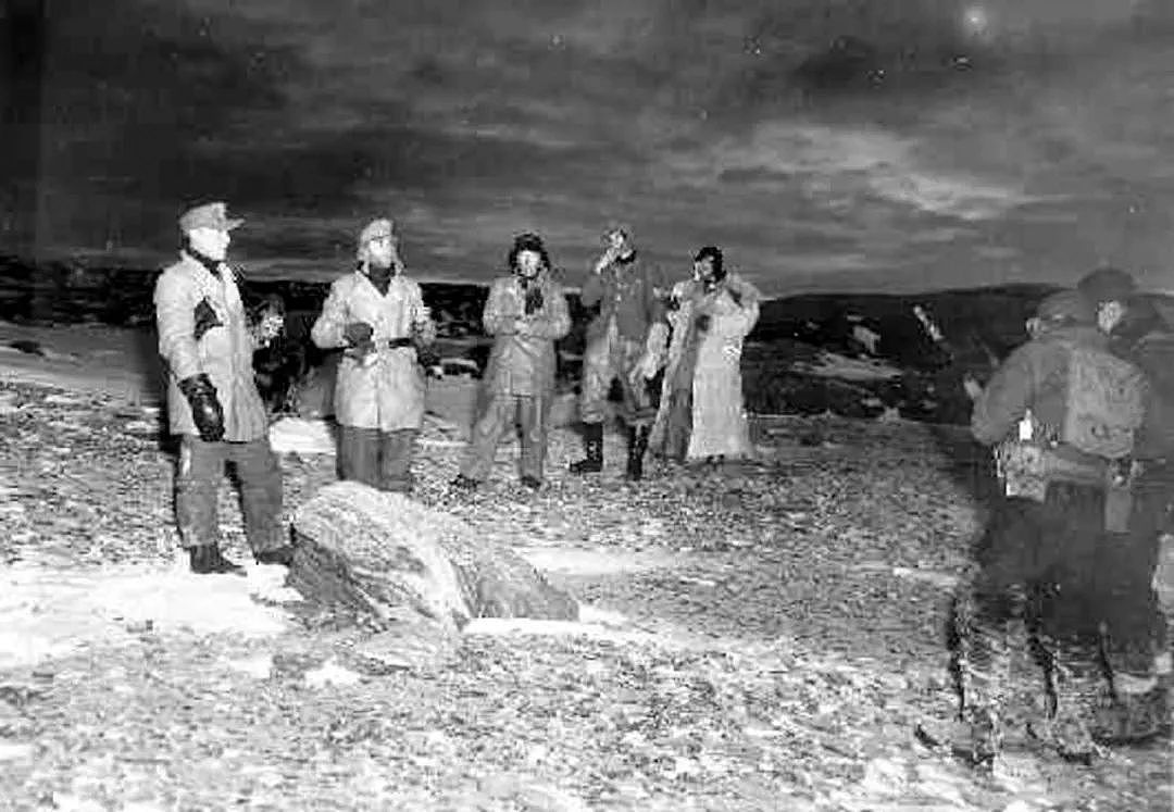 最后投降的二战德军：被遗忘在北极孤岛1年，靠吃北极熊活命 - 4