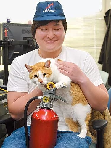 日本一只橘猫由于妨害公务罪，惨遭逮捕，目前情绪稳定！ - 9