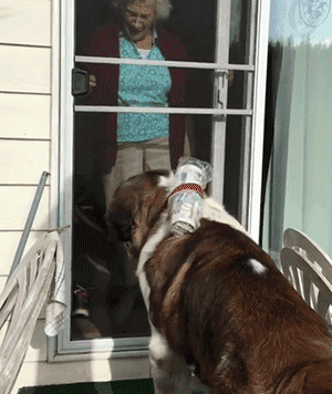 90多岁老奶奶不愿搬去儿子家，竟是因为领居家的狗太可爱了？！ - 10