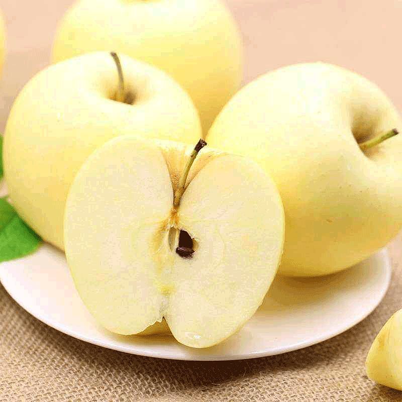 金黄色的富士苹果，一个慢慢慢成熟的苹果，吃回小时候的味儿 - 11