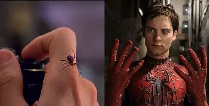 如果人被蜘蛛咬后会变成蜘蛛侠，那被猫咬了的话就会变成这样... - 1
