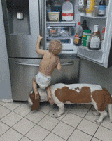 宝宝和狗子合伙开冰箱偷吃，结果惨遭背叛！ - 3
