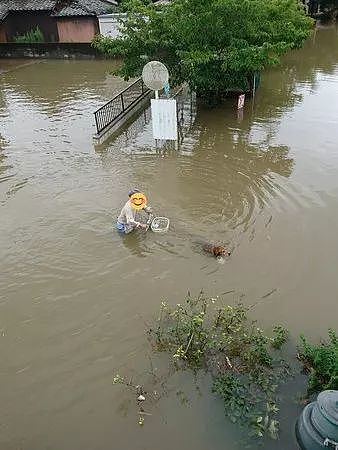老爷爷在齐腰深水里骑车遛狗...原因竟是为了不让狗子失望！ - 1