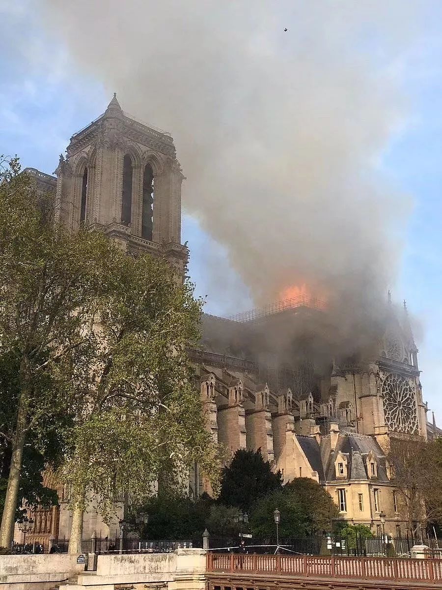 全世界为之悲伤！巴黎圣母院大火，800年古迹被焚毁，救援最新进展已出... - 18