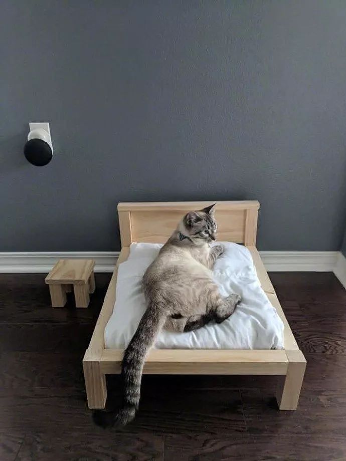 男主给猫做了张迷你小木床，还有床头柜，猫看后直接上去睡了！ - 3
