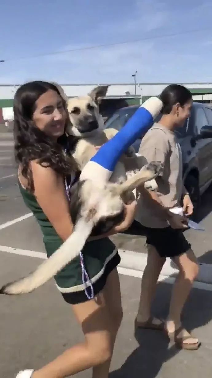 狗砸摔伤了腿，被医生包扎了之后...画面也是很搞笑了！ - 3