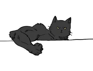 黑猫趴在空调上，尾巴看起来很粗大，被拟人化后，瞬间变帅！ - 2