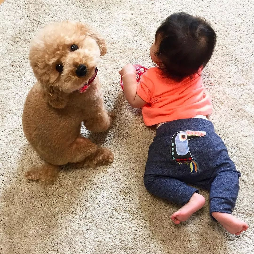日本妈妈每天给狗狗和孩子拍照，这画风…也太可爱了吧！ - 19