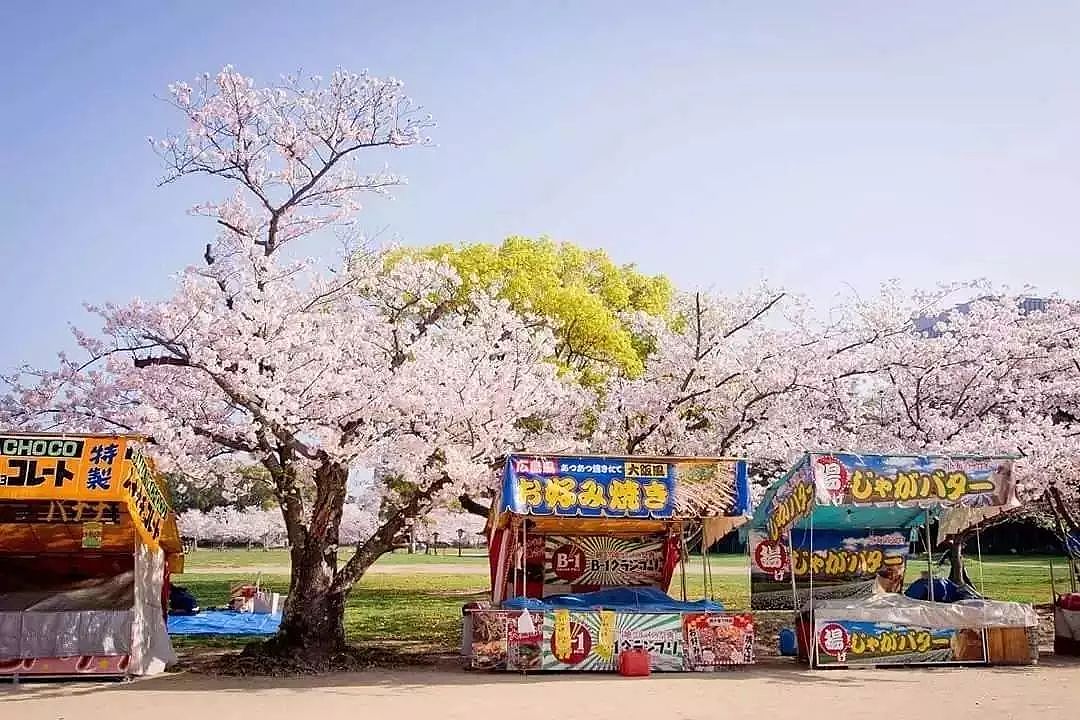 日本樱花季最强攻略，美景美食一览，再不看就没机会啦！ - 8