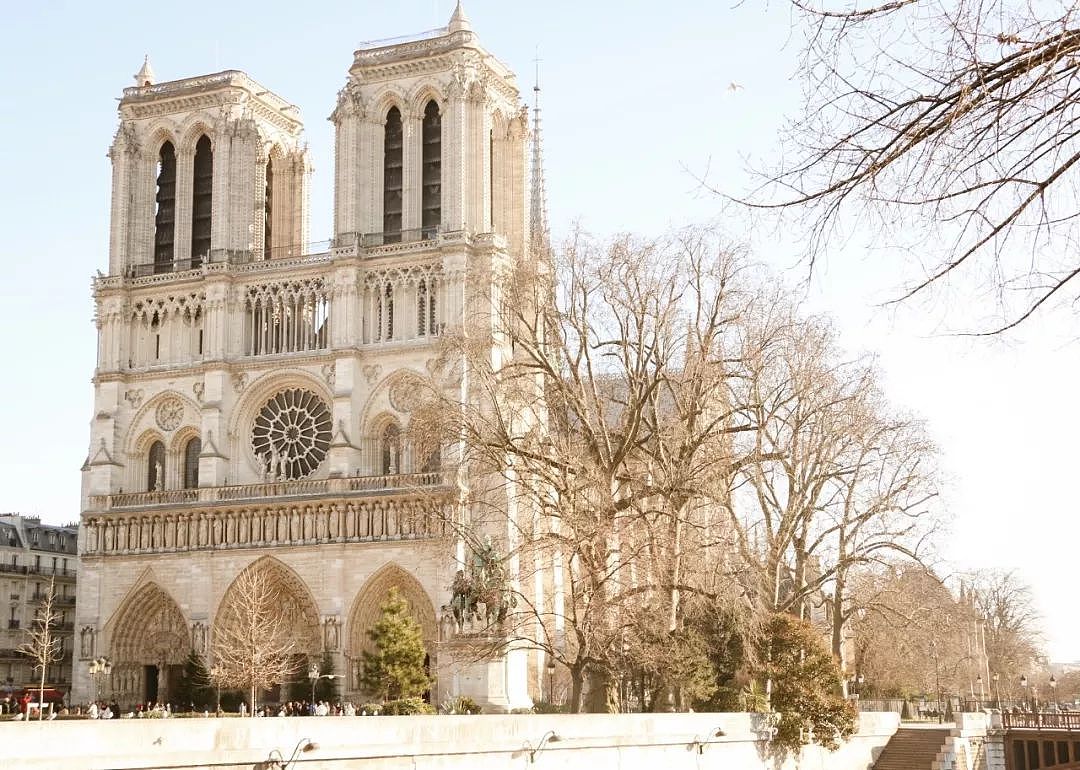 全世界为之悲伤！巴黎圣母院大火，800年古迹被焚毁，救援最新进展已出... - 26