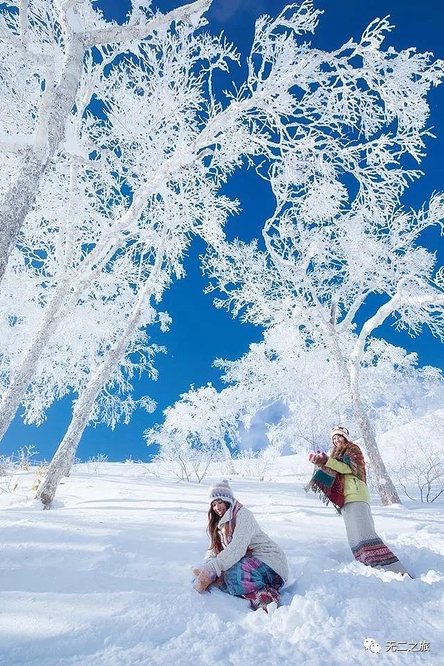 日本线路 | 北海道星野滑雪，这样玩省钱又高级！ - 6