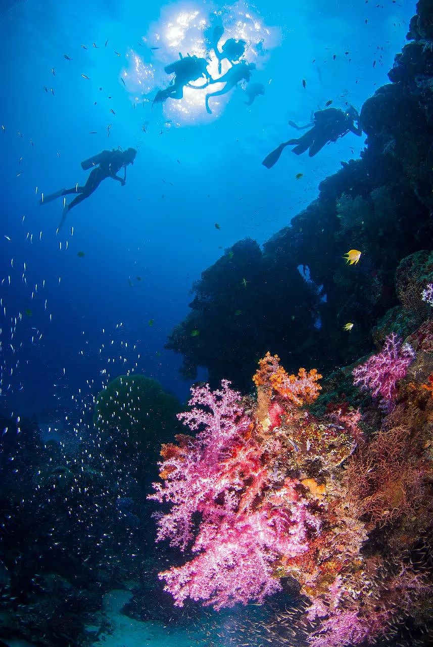 一年仅开放7个月！泰国唯一敢叫板马代的潜水圣地，终于开岛了 - 14