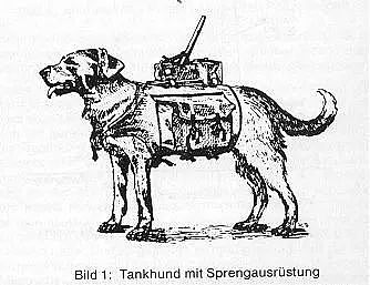 军事 | 二战时期的奇葩设计：苏联将炸药绑在军犬身上，德军则有驴式自行反坦克炮 - 5