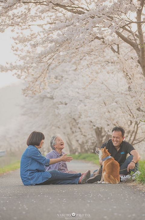 日本小哥抓拍奶奶和狗狗的照片，第一张就被暖哭了… - 5