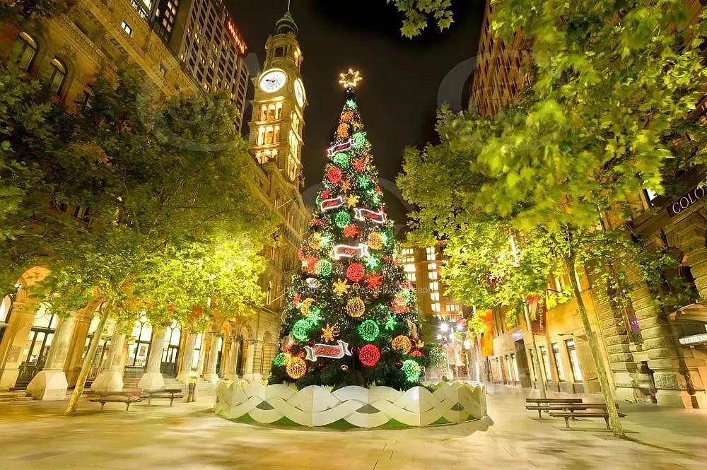 你家的圣诞树亮起来了吗？看看澳洲哪里可以买到你最中意的圣诞树！ - 4