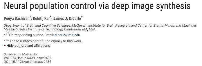 史上首次！MIT研究用人工神经网络控制动物大脑活动 - 1