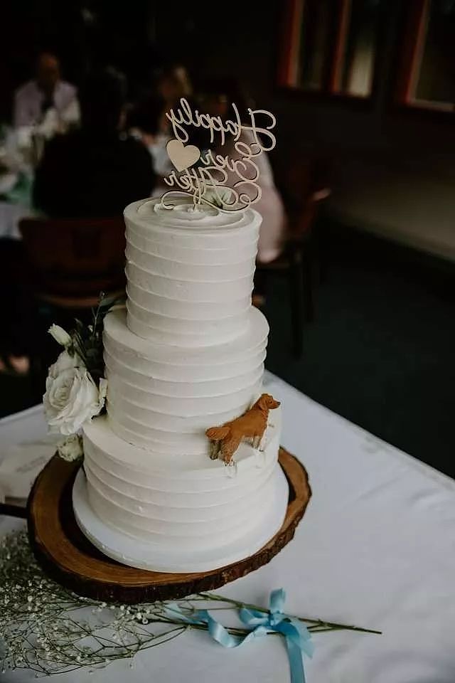 新人带着狗举办婚礼，可大家的注意力却在婚礼蛋糕上... - 5