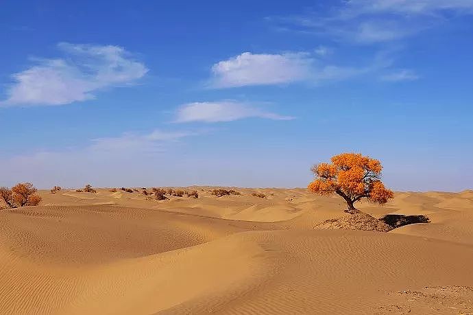 世界上最神奇的沙漠！拥有大片湖泊，吸引无数游客，美到不像是在地球！ - 68
