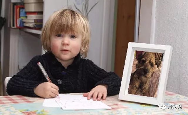 狗狗被偷走，小男孩给圣诞老人写了封信，最后奇迹发生了…… - 5