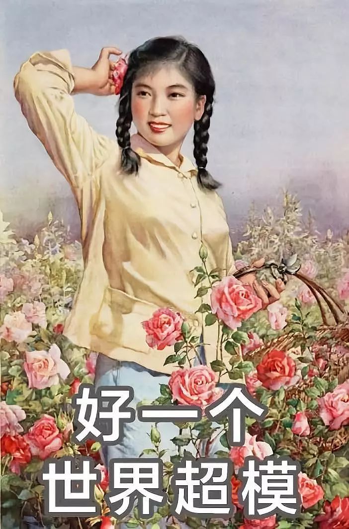 中国女子减肥图鉴，哈哈哈哈哈哈哈哈 - 34