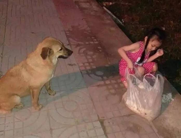 小女孩扛食物喂街边流浪狗，为表示感谢，狗狗每天护送她回家！ - 4