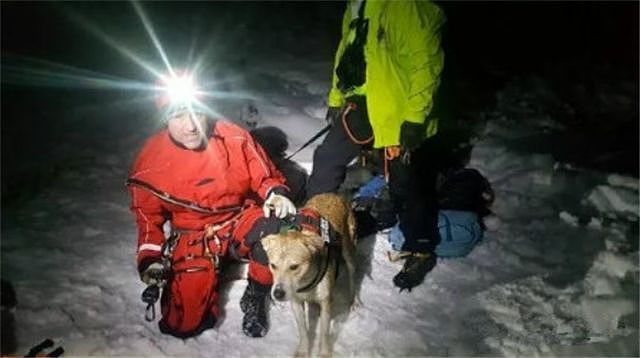掉落12米深的冰隙中，狗狗还能生还吗？ - 6