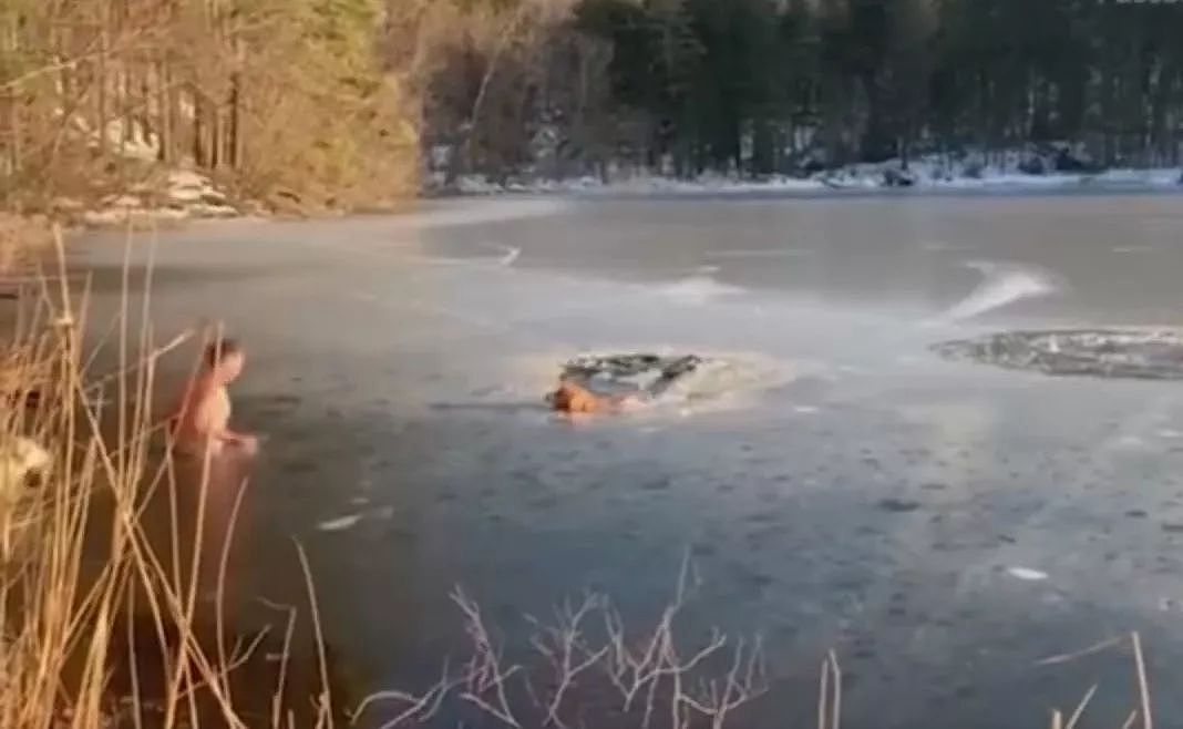 两只狗狗掉进冰窟窿，男子留下句话就跳湖营救，简直帅呆！ - 2