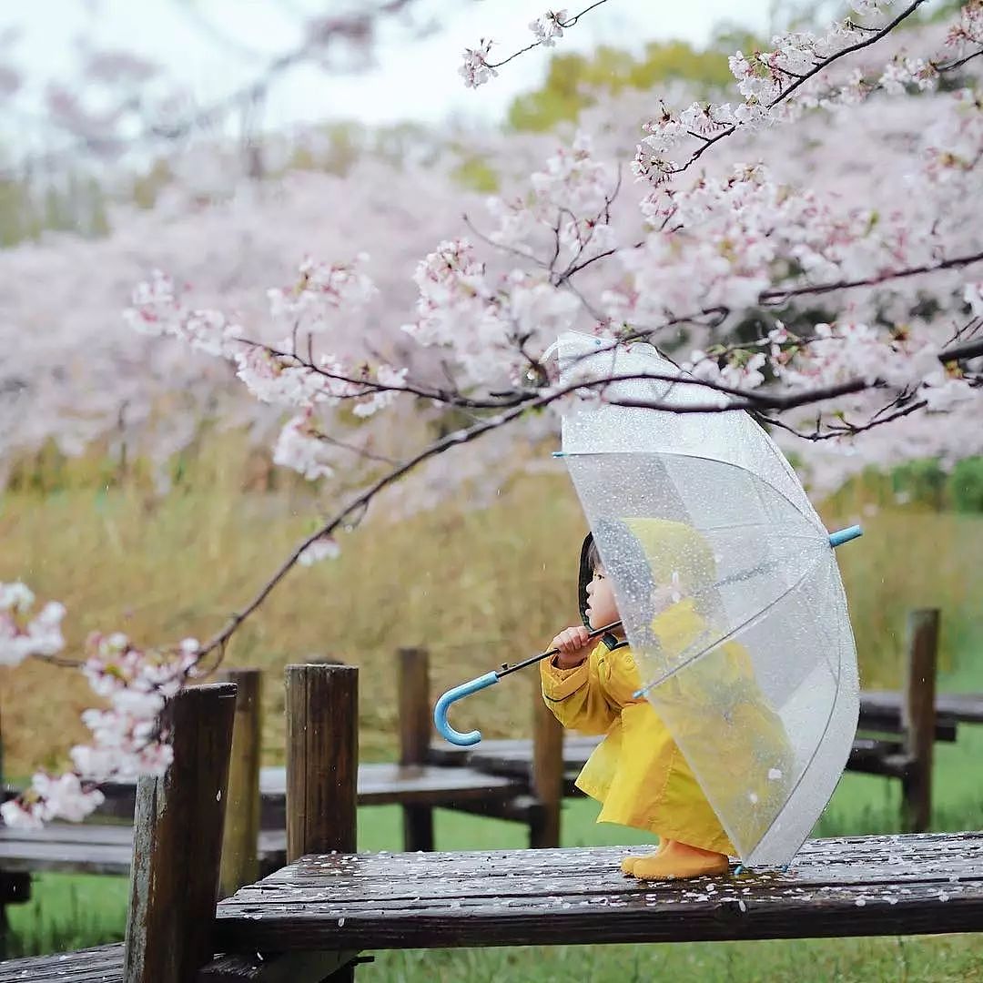 日本妈妈偷拍樱花树下的儿子，美成宫崎骏童话，治愈无数人 - 3