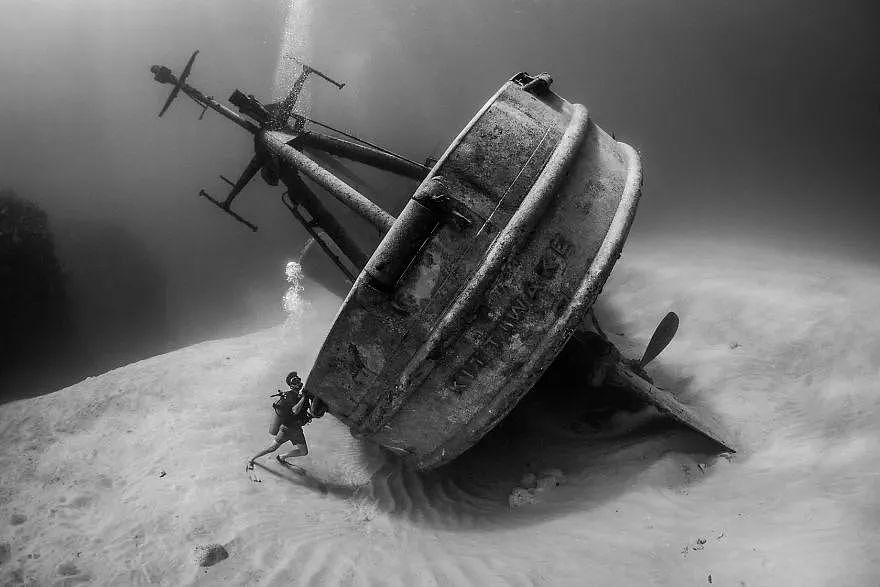 2018年水下摄影师大赛的获奖作品，带你进入一个水下世界 - 8