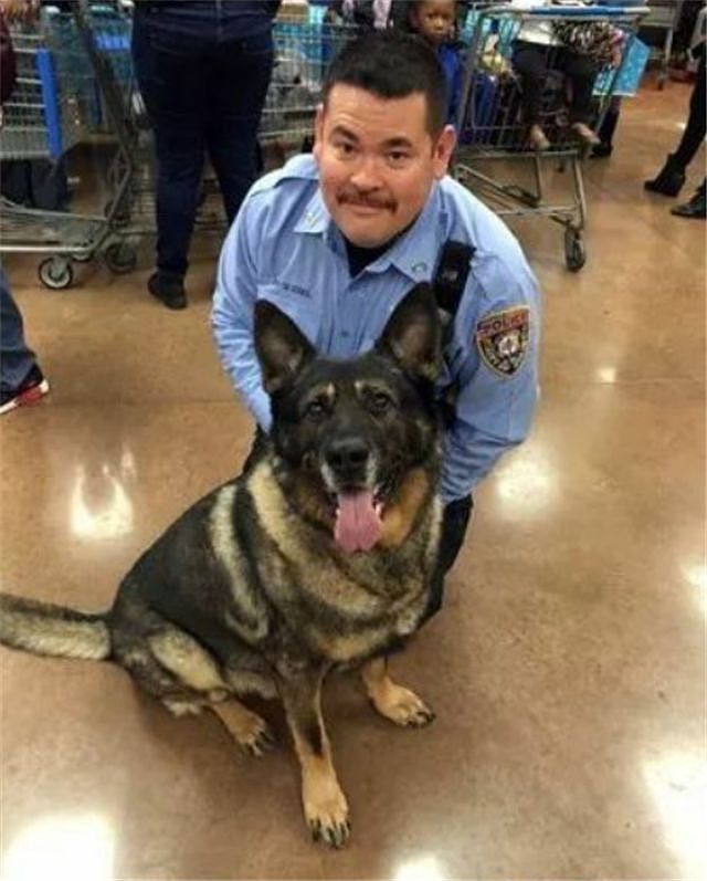 10年警犬生涯，最后离去时训导员抱着它痛哭… - 4
