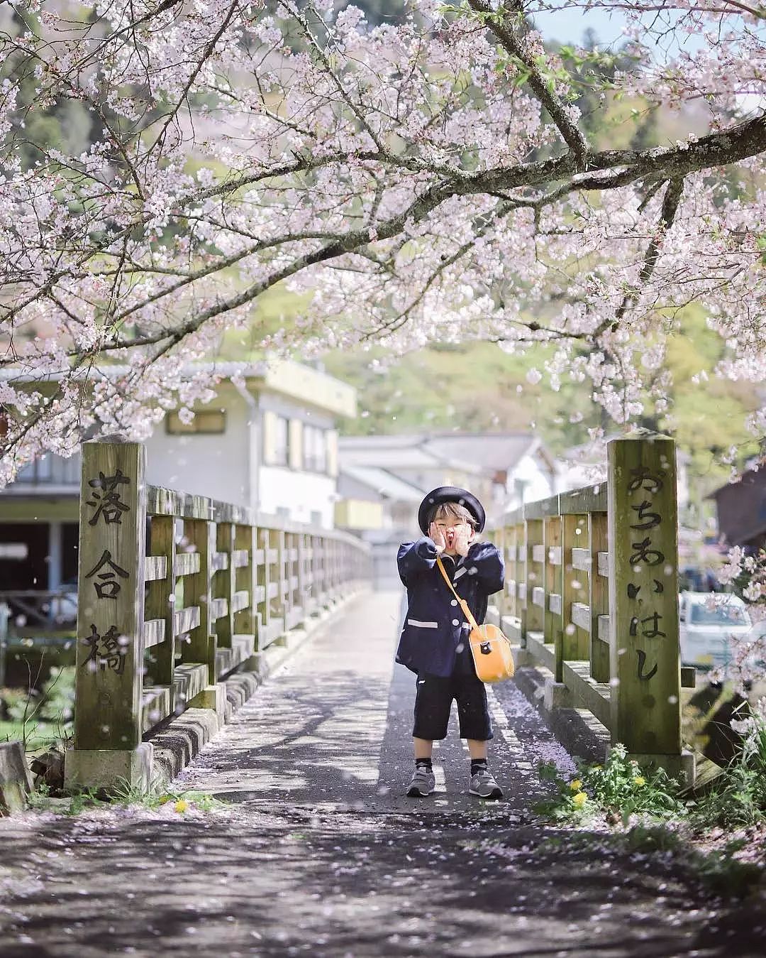 日本妈妈偷拍樱花树下的儿子，美成宫崎骏童话，治愈无数人 - 2