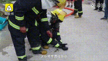 5只小奶狗困火场被消防员拯救，终和狗妈妈团聚… - 1