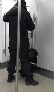 网友在北京地铁偶遇小警犬，还没睡醒的它要开始新一天的工作啦！ - 3
