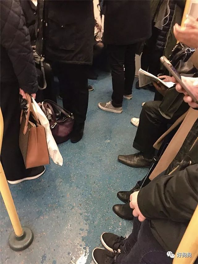 地铁上是否该为导盲犬和它的主人让座，英国网友的讨论炸开了锅！ - 3