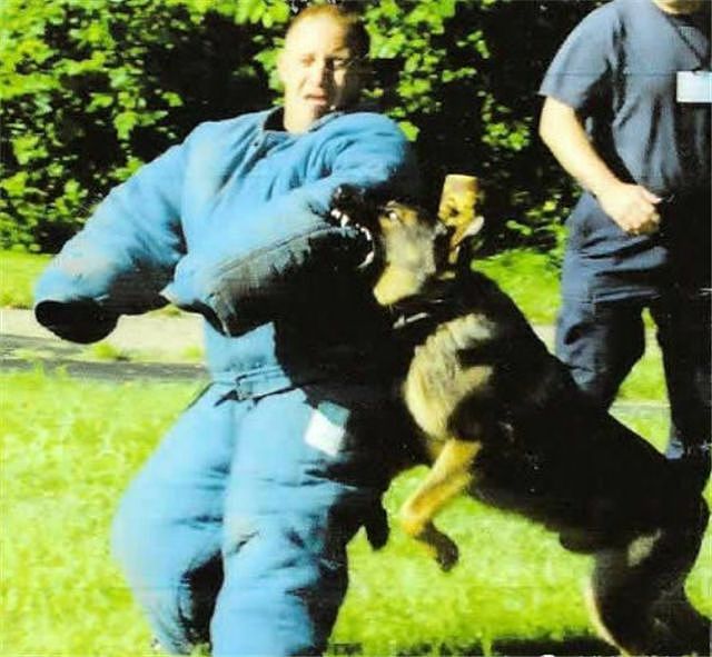 10年警犬生涯，最后离去时训导员抱着它痛哭… - 2