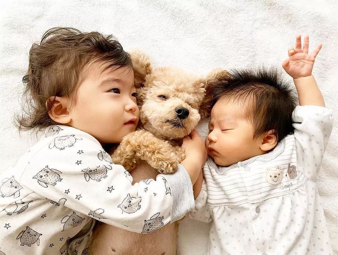日本妈妈每天给狗狗和孩子拍照，这画风…也太可爱了吧！ - 27