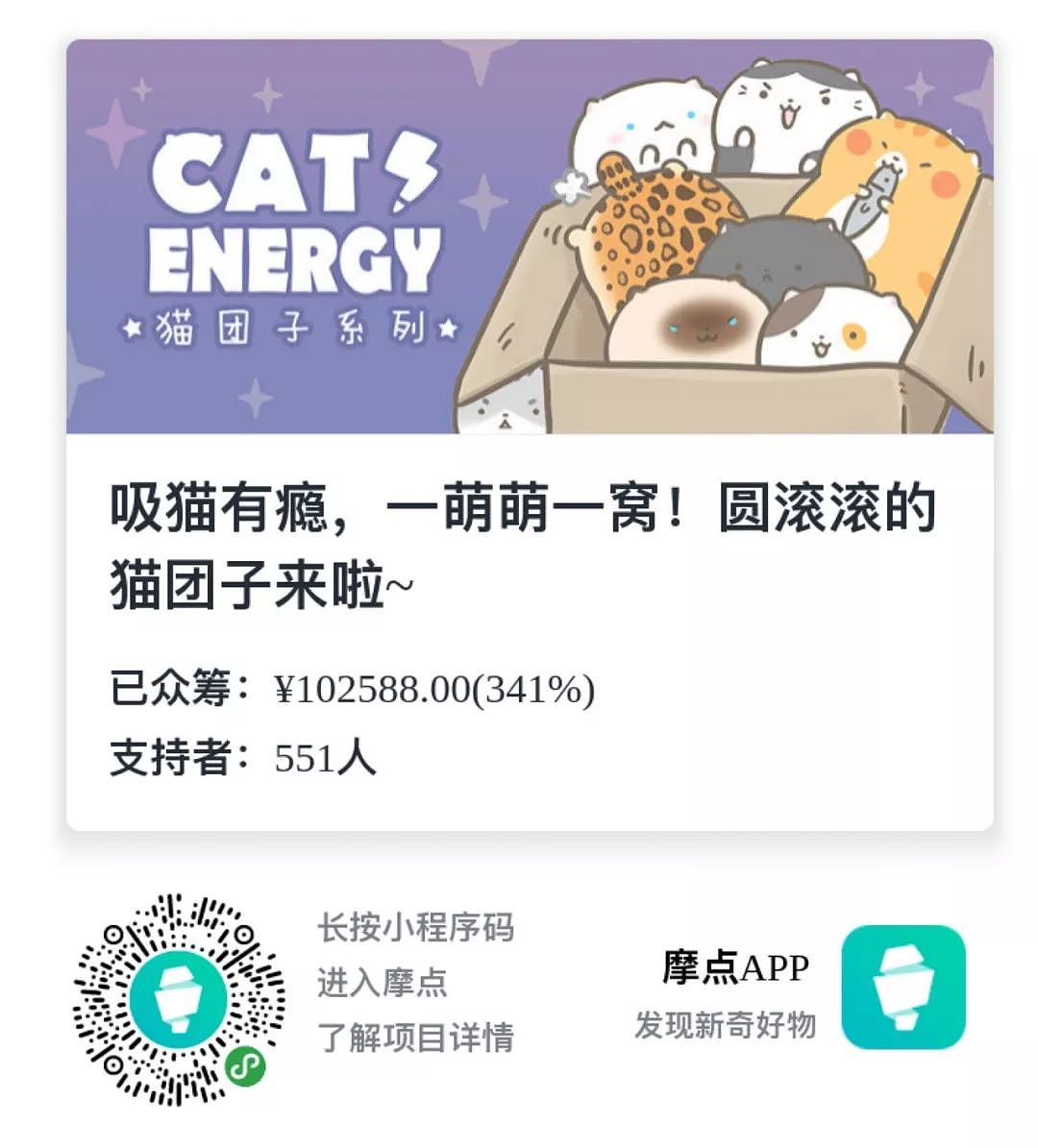 爱猫有瘾？一萌萌一窝！圆滚滚的猫团子来啦！ - 11