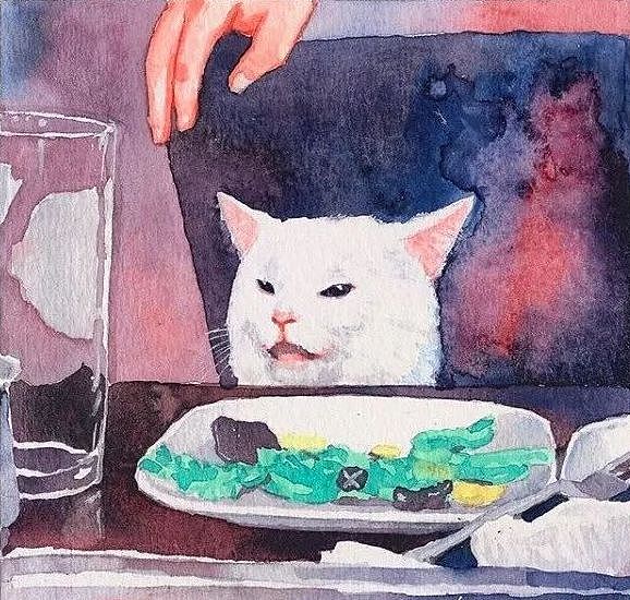 笑飞，满脸写着抗拒的猫，因一张表情包爆红：我就是不！吃！菜！ - 8