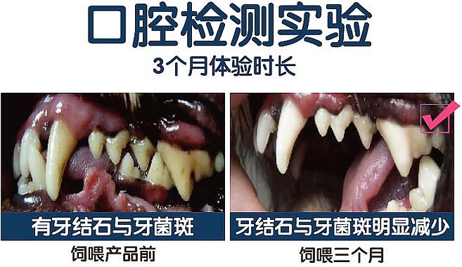 小金毛吃蛋糕粘牙抓狂，大金毛一脸鄙视：老弟你有事吗？ - 17