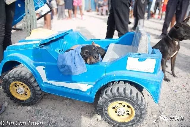 南非一女士把狗狗放在玩具车里，带着它们步行2小时来看医生！ - 2
