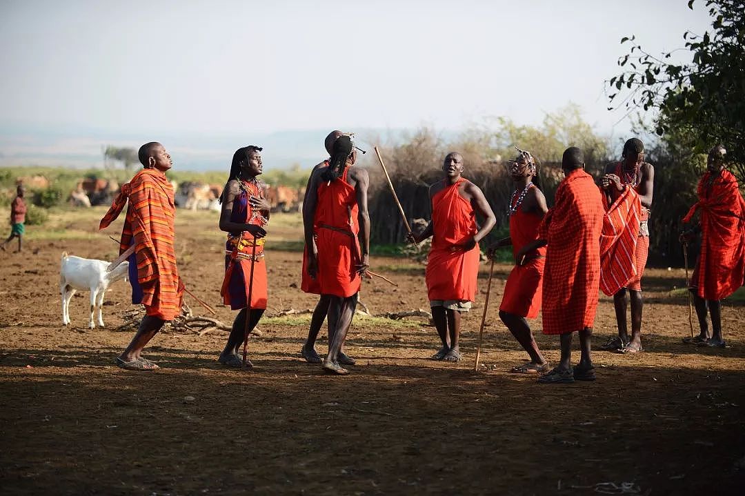 肯尼亚+坦桑尼亚，春节远走东非开启Safari之旅！ - 22