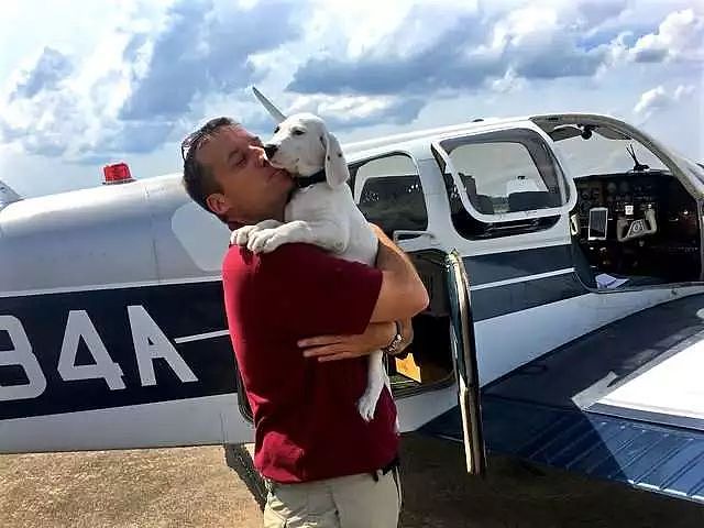 流浪狗第一次坐飞机，开心地从飞机后部挤到了副驾的位置 - 2