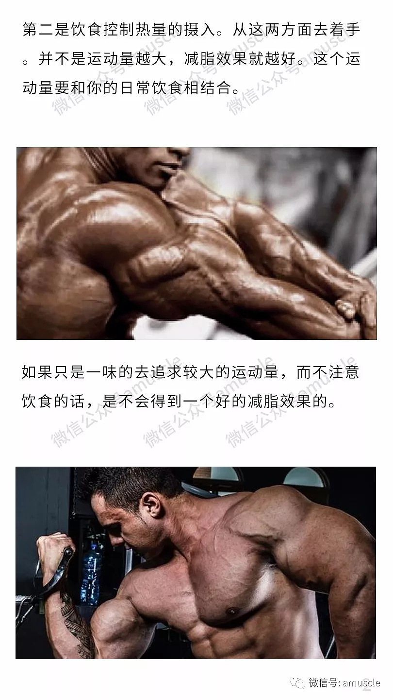 以为飞鸟做得多，胸肌中缝就越深？你要做的不止这一点！ - 7