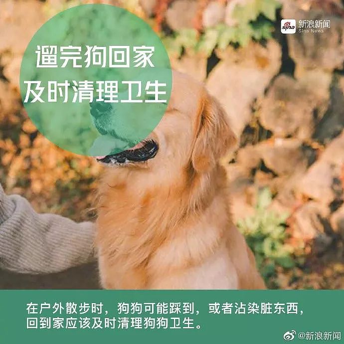 警方跨省抓狗？是的，这件事在上海发生了! - 28